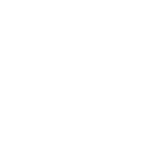 Custom Icon